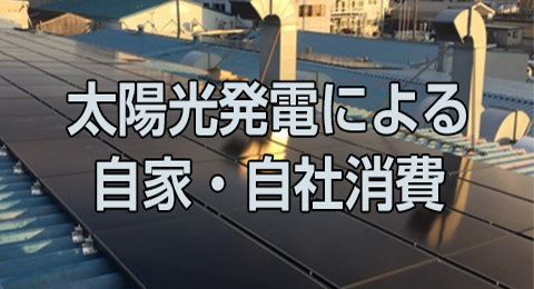 自宅・自社消費